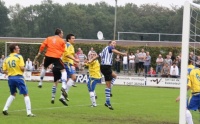 www.bladella.nl